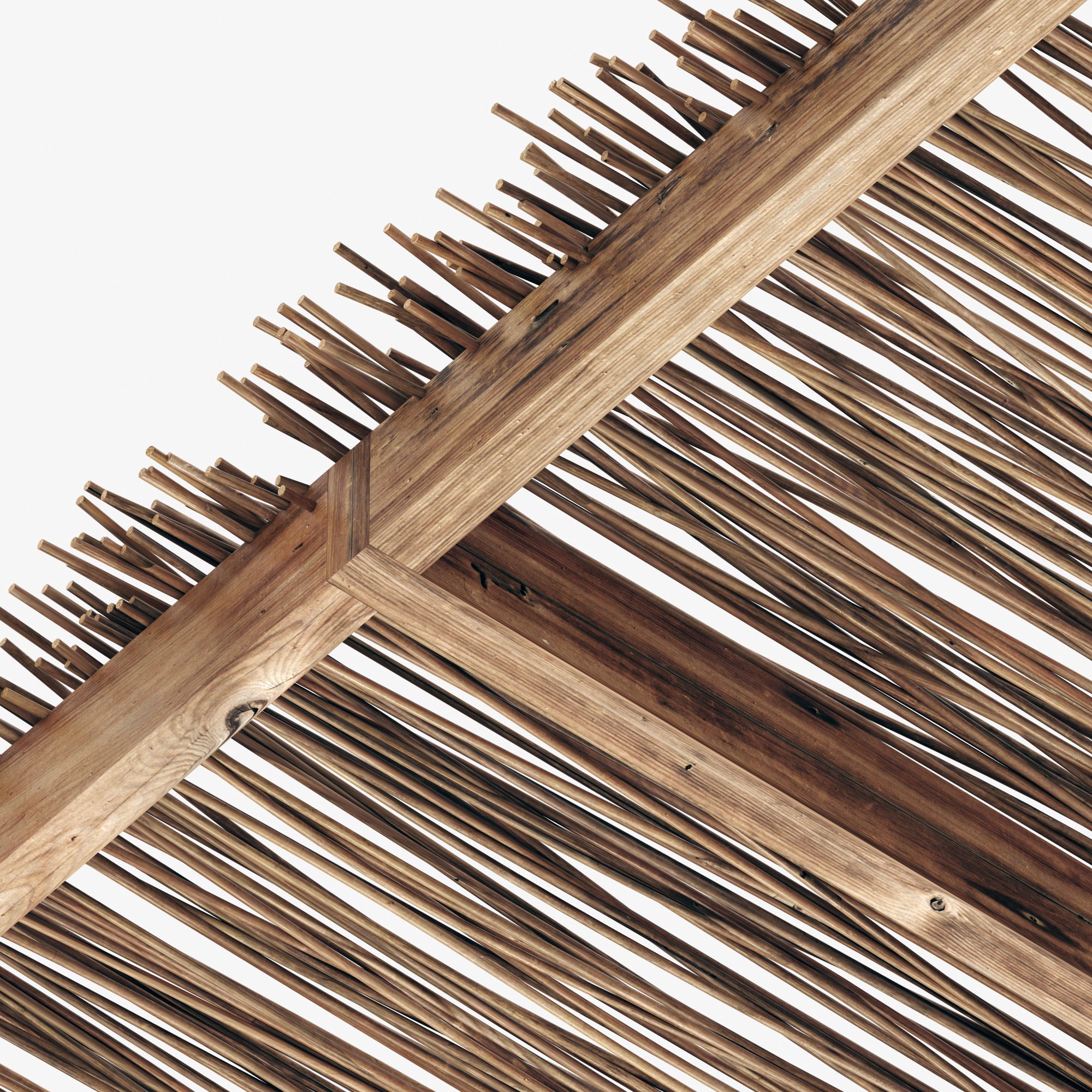 Branch thin thick decor n1 3D model_13