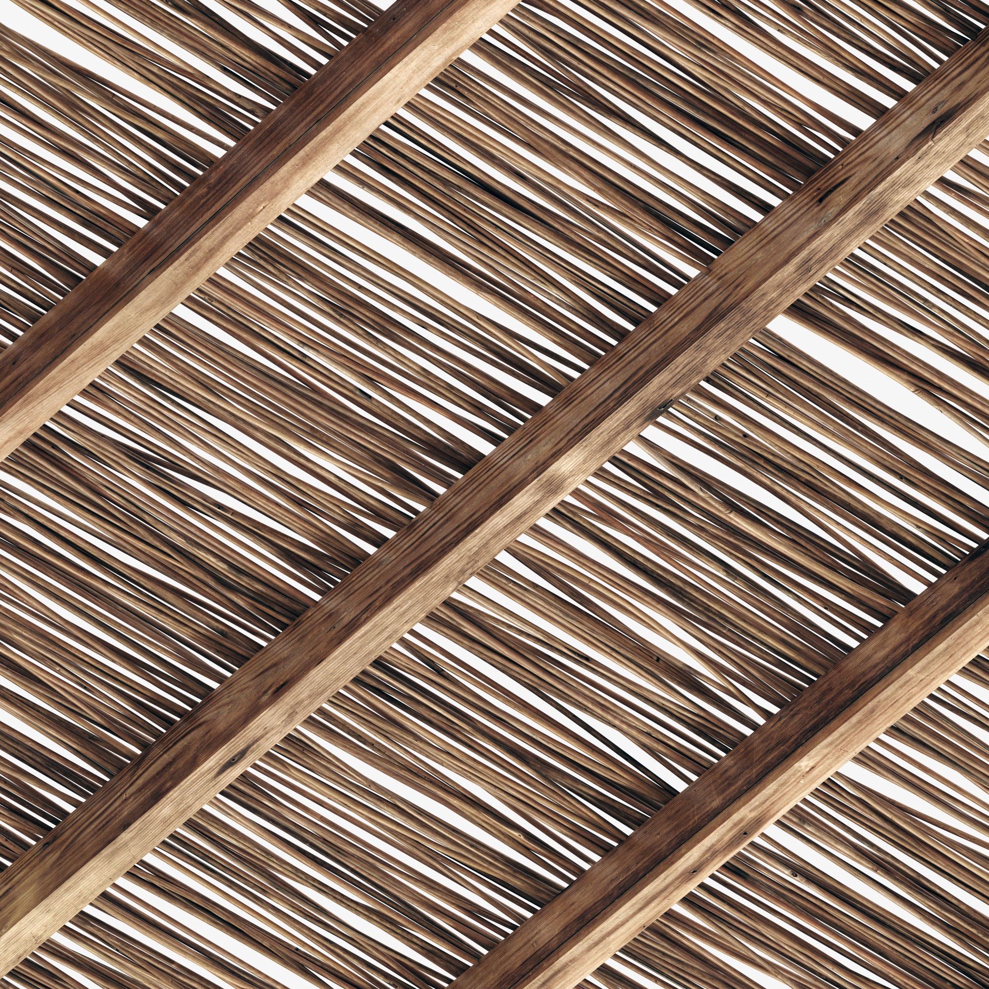 Branch thin thick decor n1 3D model_11