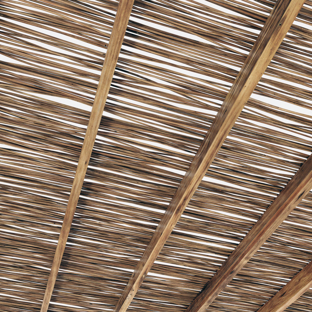 Branch thin thick decor n1 3D model_5