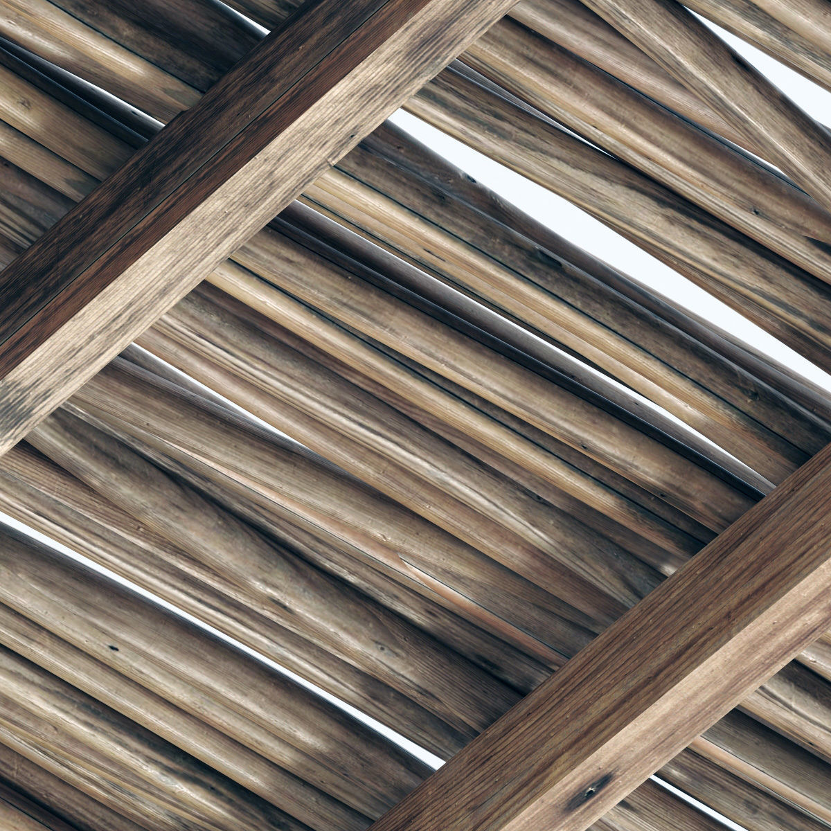 Branch thin thick decor n1 3D model_8