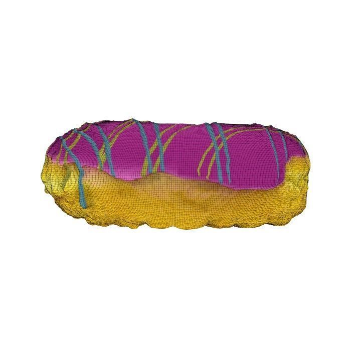 004 Donut Strawberry dip Scan 3D model with UV map 3D model_20