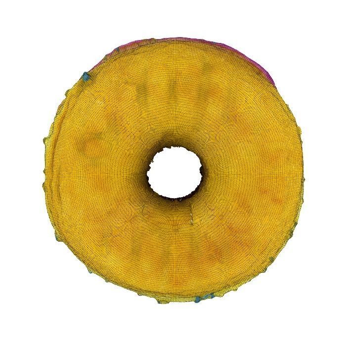 004 Donut Strawberry dip Scan 3D model with UV map 3D model_16