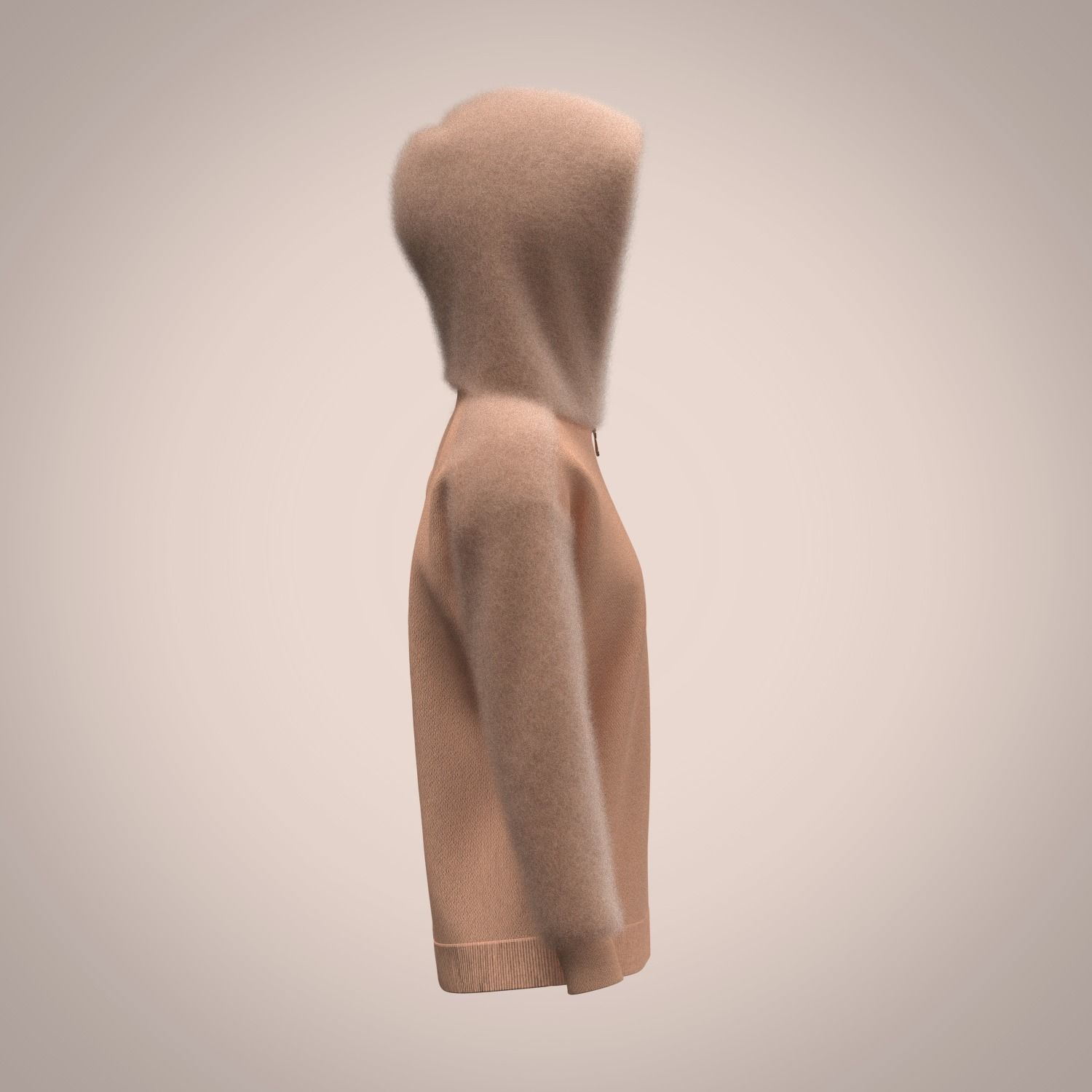 Ladies Hoodie with fur 3D model_1