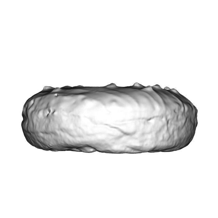 022 Donut chock white chockchip Scan 3D model with UV map 3D model_18