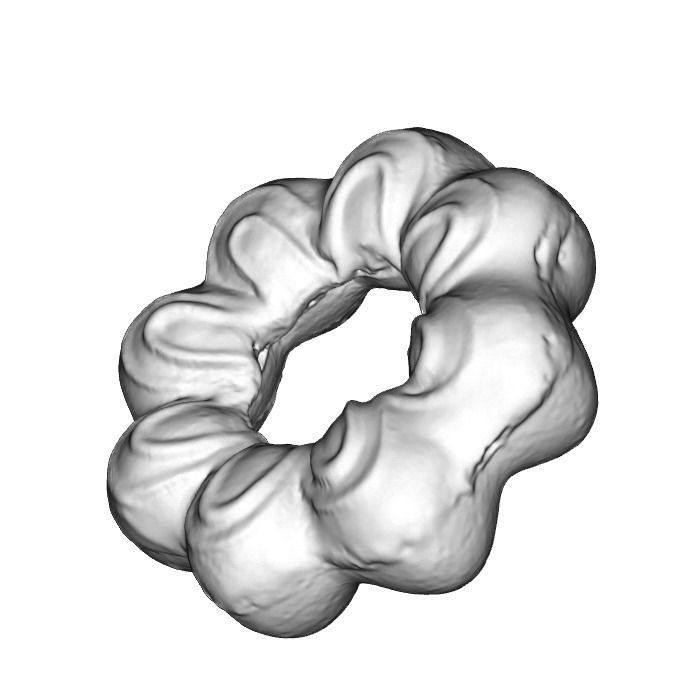 021 Donut blue flower Scan 3D model with UV map 3D model_2