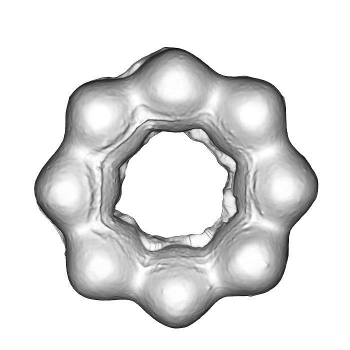 021 Donut blue flower Scan 3D model with UV map 3D model_14