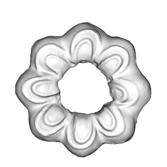 021 Donut blue flower Scan 3D model with UV map 3D model_6