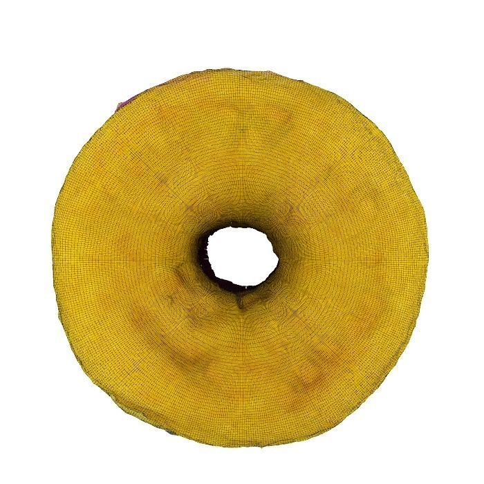 020 Donut pink wire Scan 3D model with UV map 3D model_16