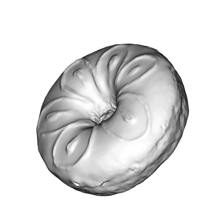 019 Donut Pink Flower Scan 3D model with UV map 3D model_2