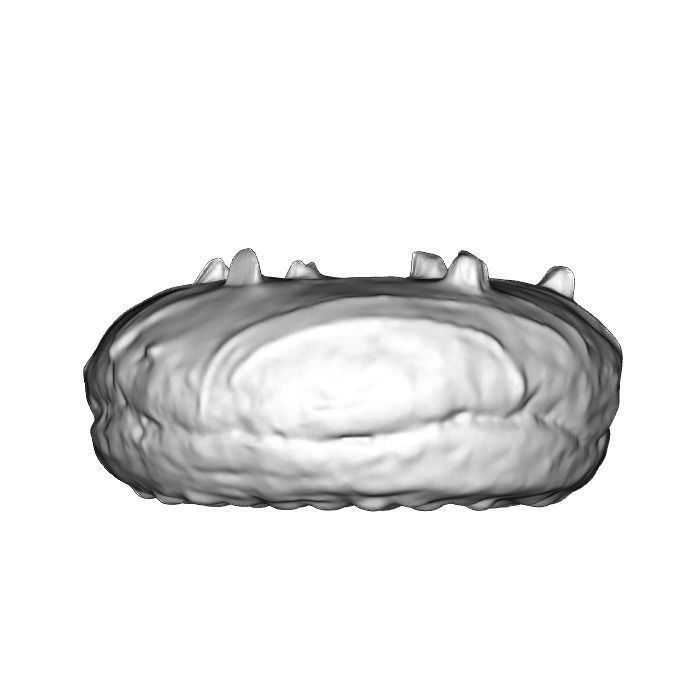 018 Donut whitechock chockchip Scan 3D model with UV map 3D model_18