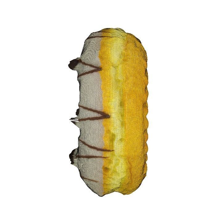 018 Donut whitechock chockchip Scan 3D model with UV map 3D model_12