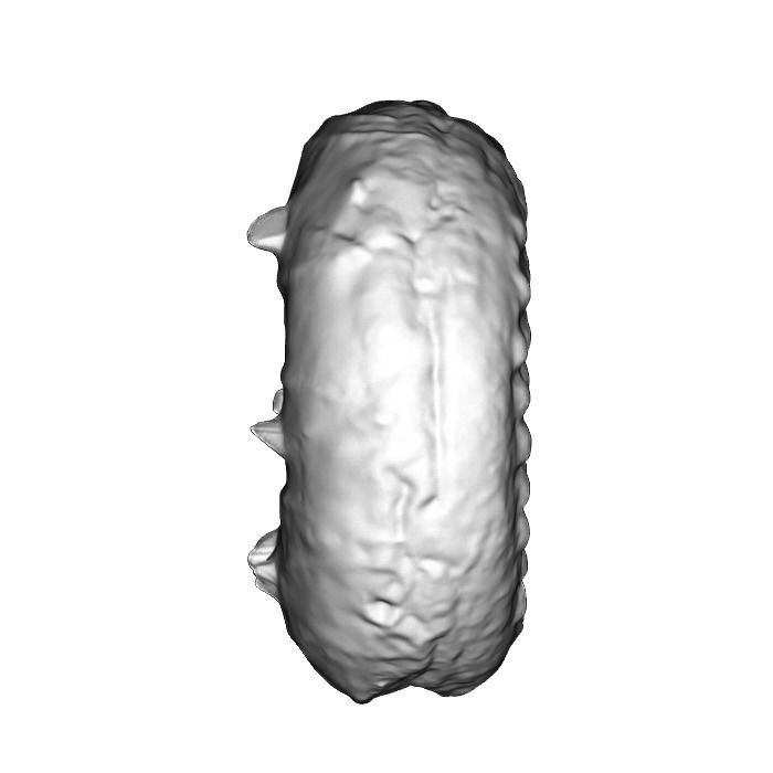 018 Donut whitechock chockchip Scan 3D model with UV map 3D model_10