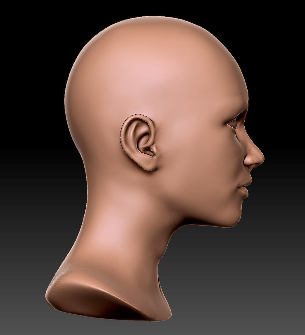 Female Head 01 3D model_9