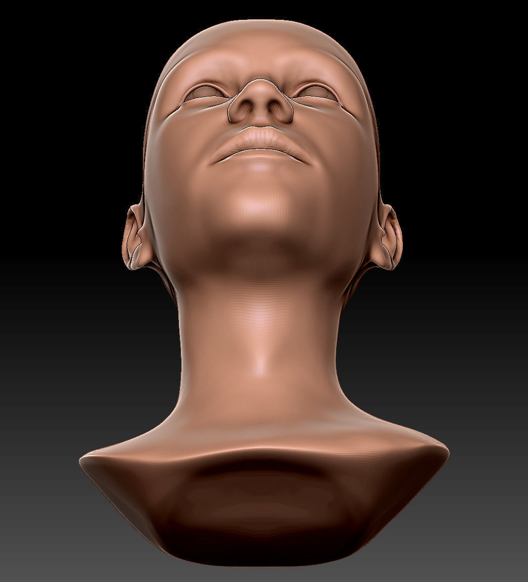 Female Head 01 3D model_13