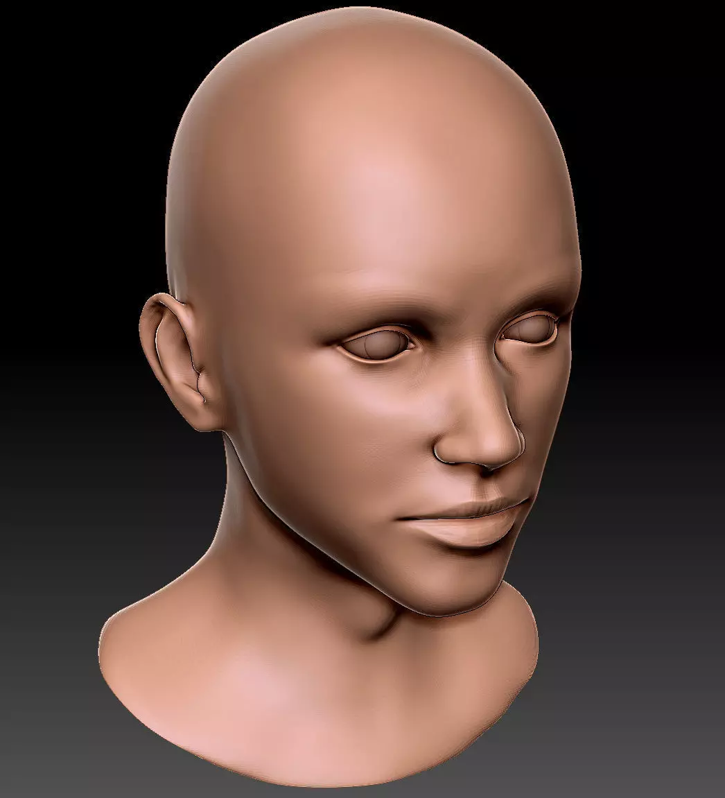 Female Head 01 3D model_0