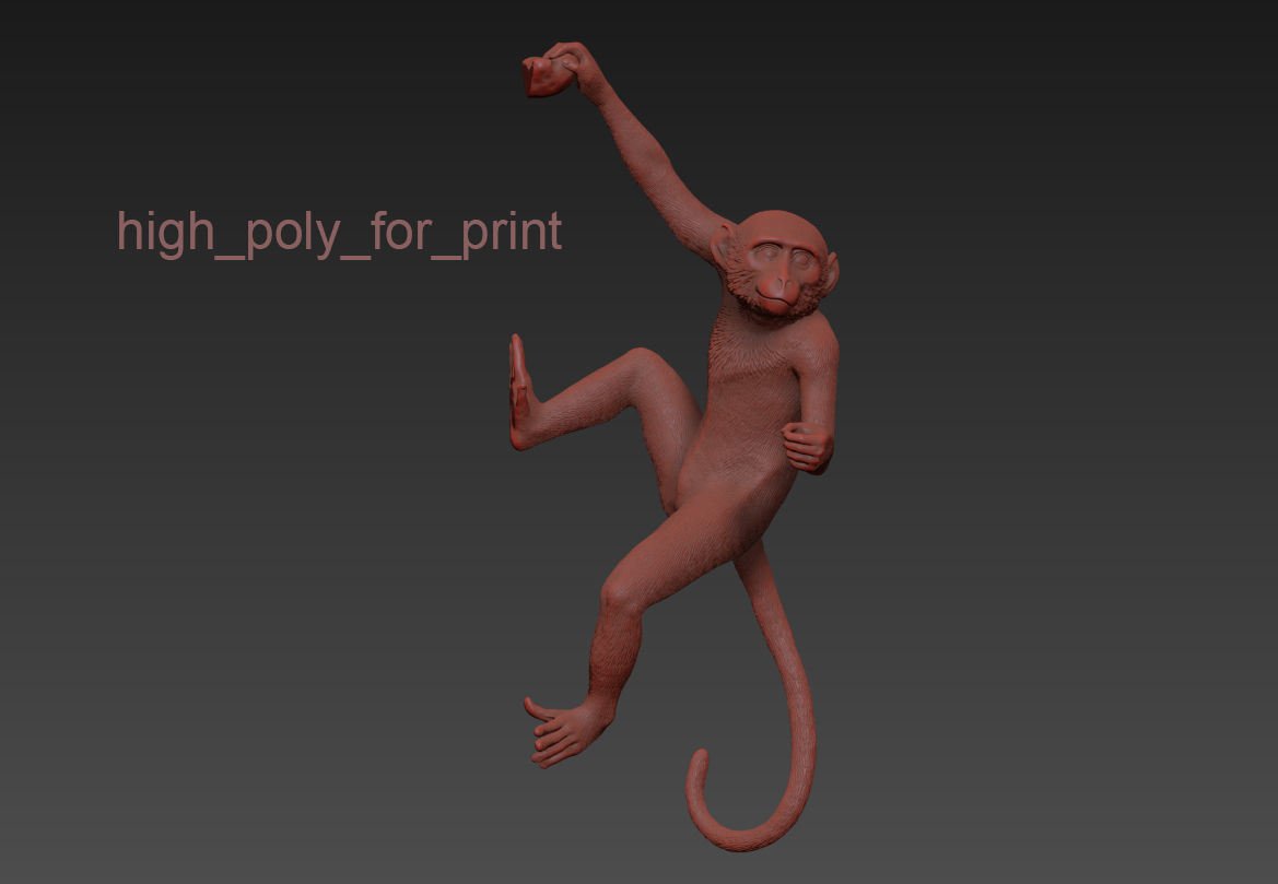 The Monkey Lamp Hanging Right Version Low and High poly  Low-poly 3D model_7