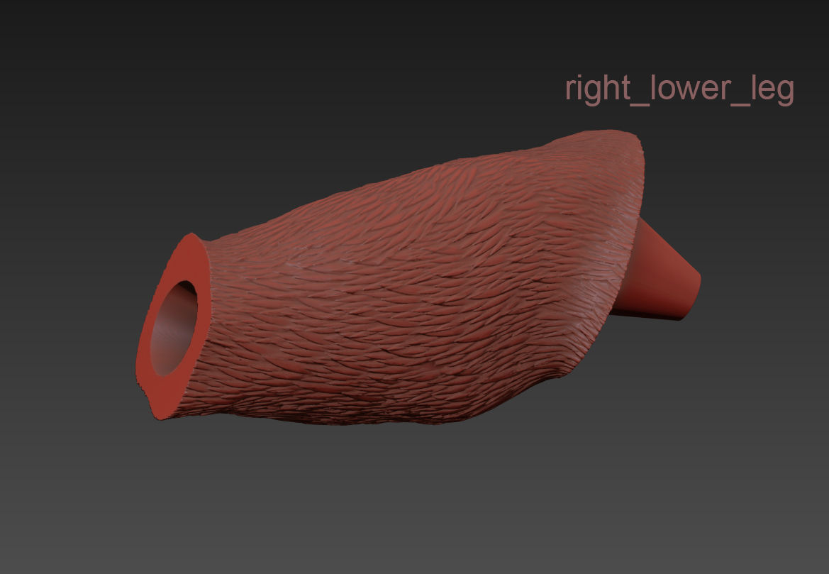 The Monkey Lamp Hanging Right Version Low and High poly  Low-poly 3D model_19