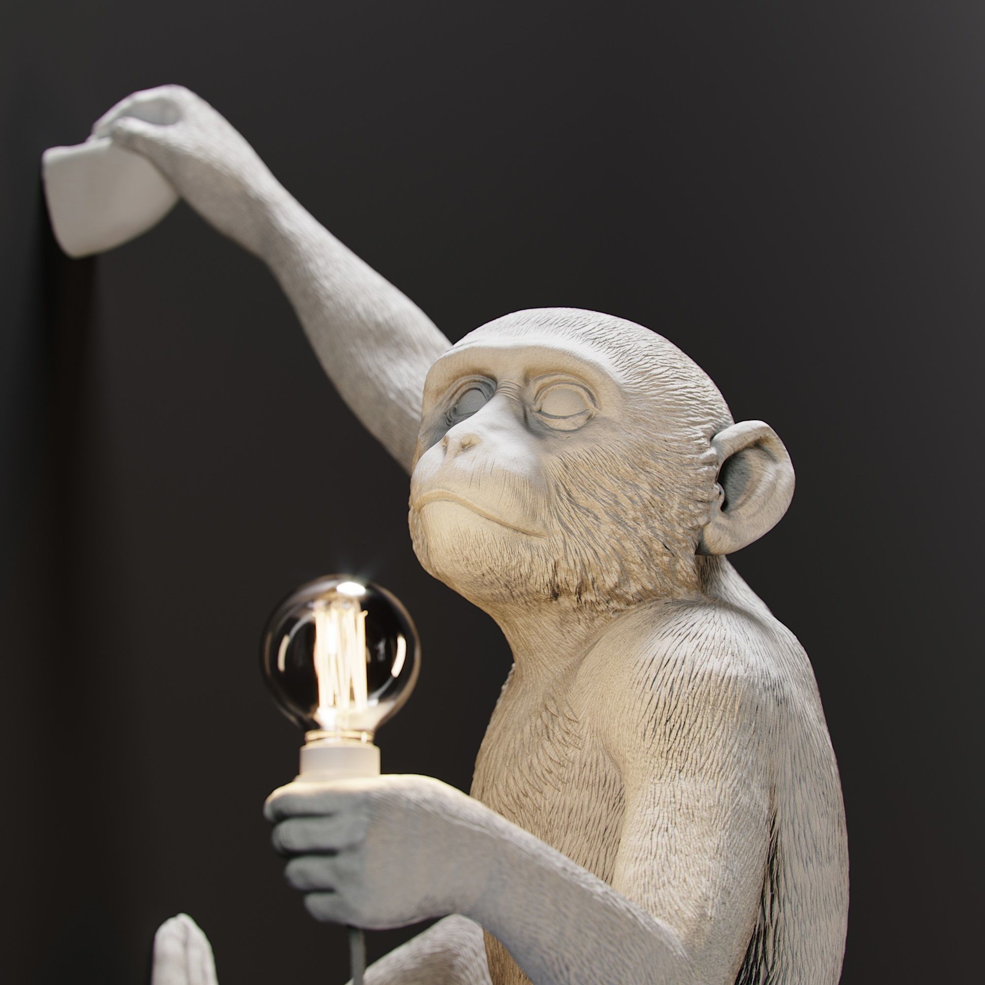 The Monkey Lamp Hanging Right Version Low and High poly  Low-poly 3D model_2