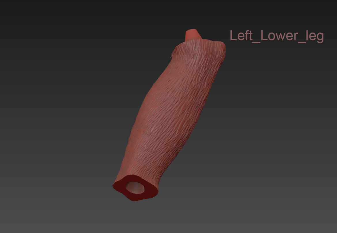 The Monkey Lamp Hanging Right Version Low and High poly  Low-poly 3D model_13