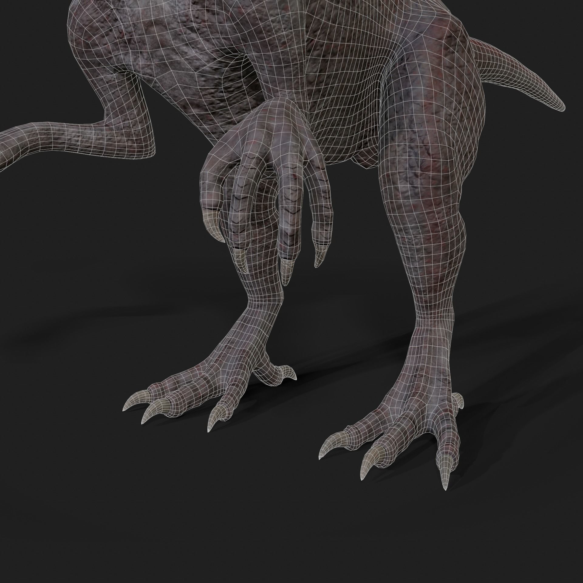Dinosaurs Velociraptor Hybrid 3D model 3D model_13