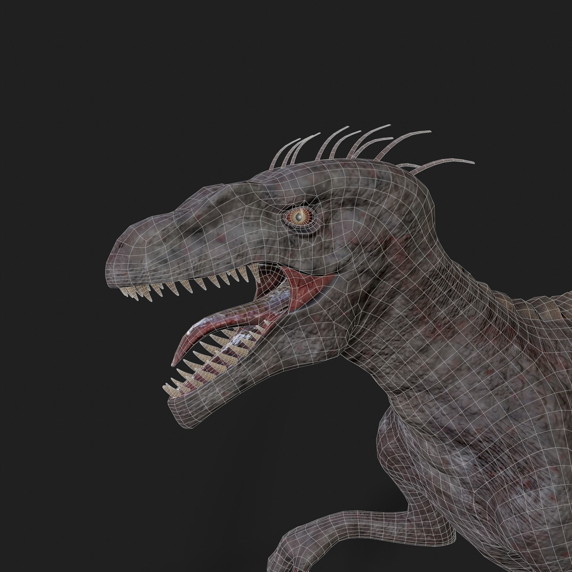 Dinosaurs Velociraptor Hybrid 3D model 3D model_18
