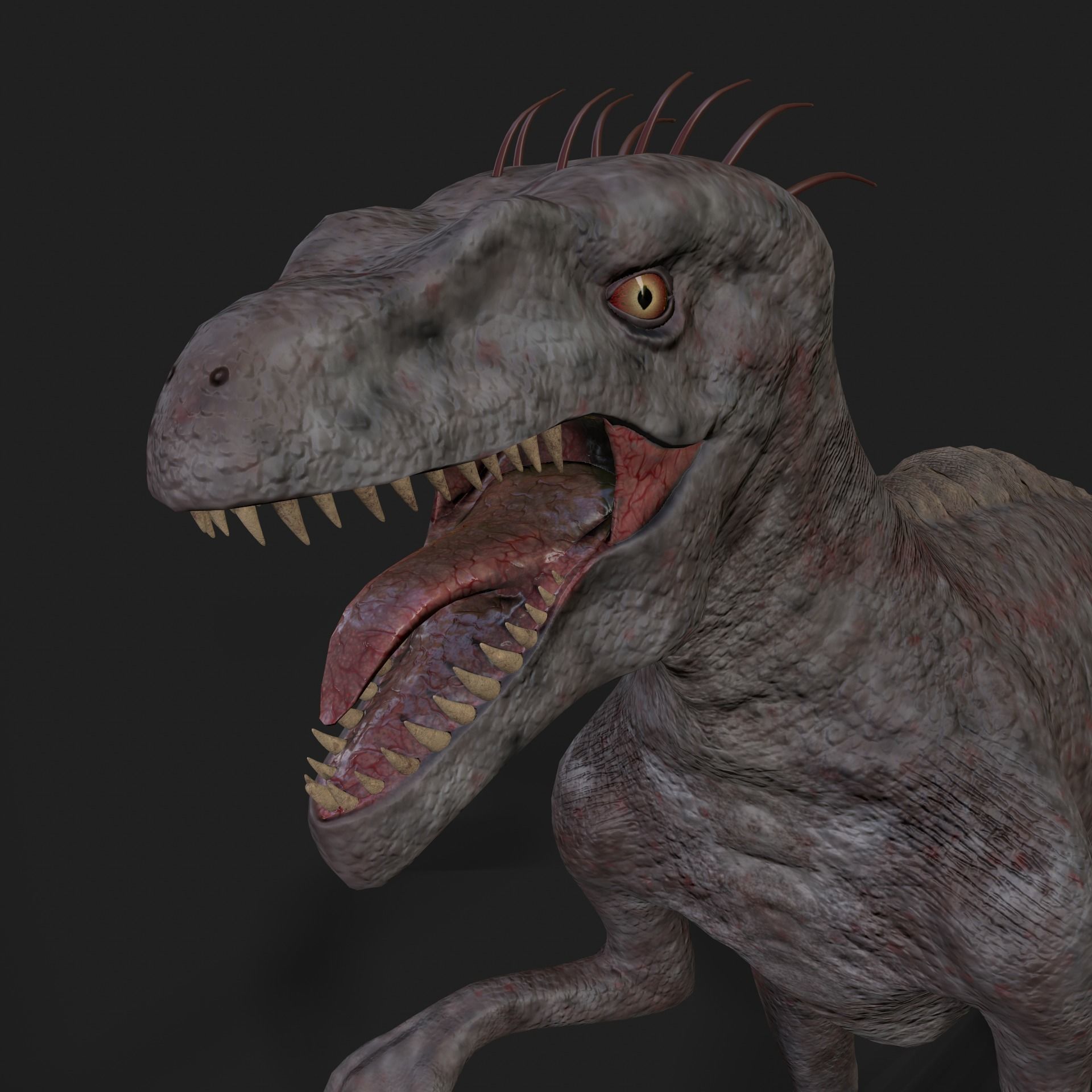 Dinosaurs Velociraptor Hybrid 3D model 3D model_6
