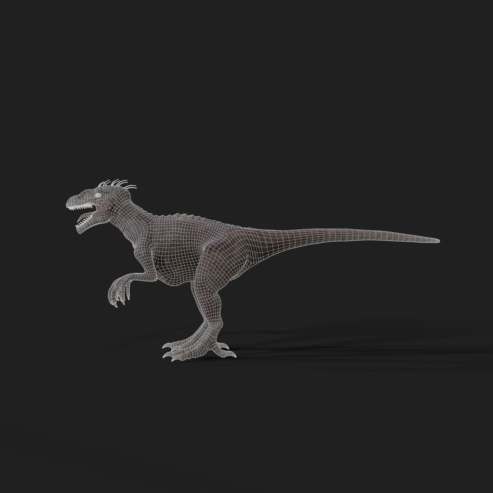 Dinosaurs Velociraptor Hybrid 3D model 3D model_10