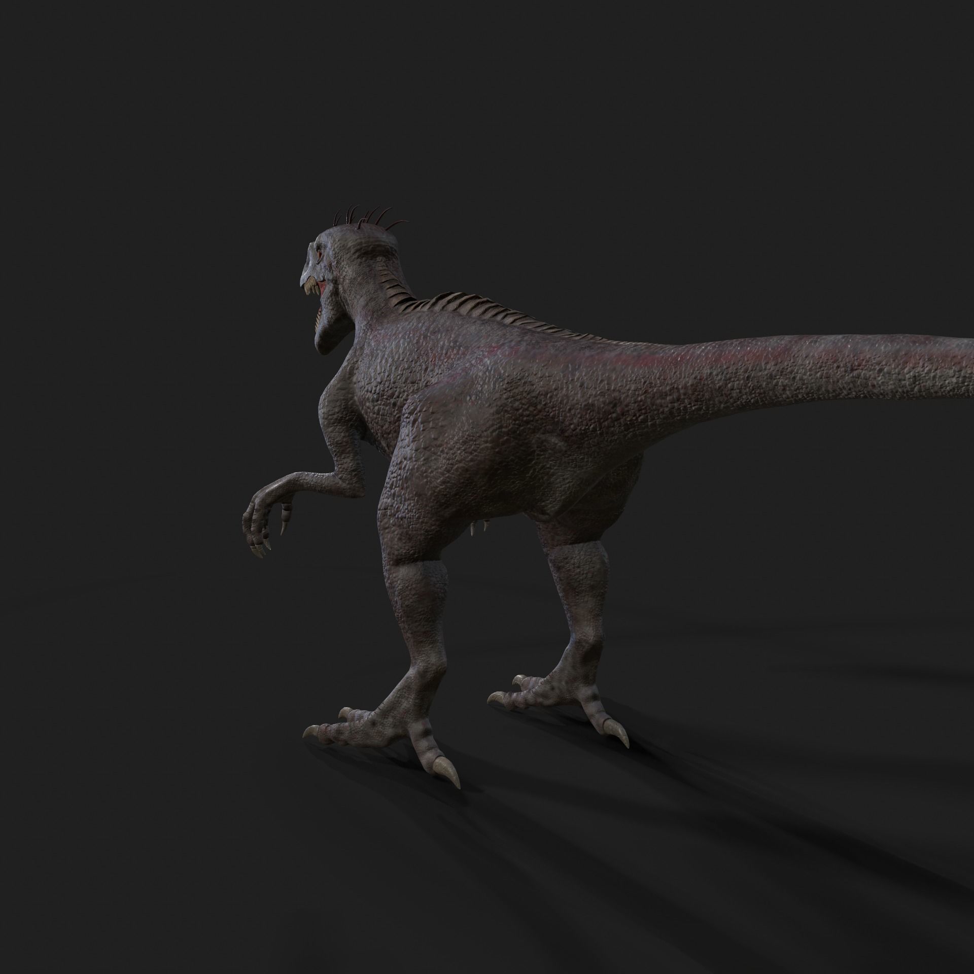 Dinosaurs Velociraptor Hybrid 3D model 3D model_5