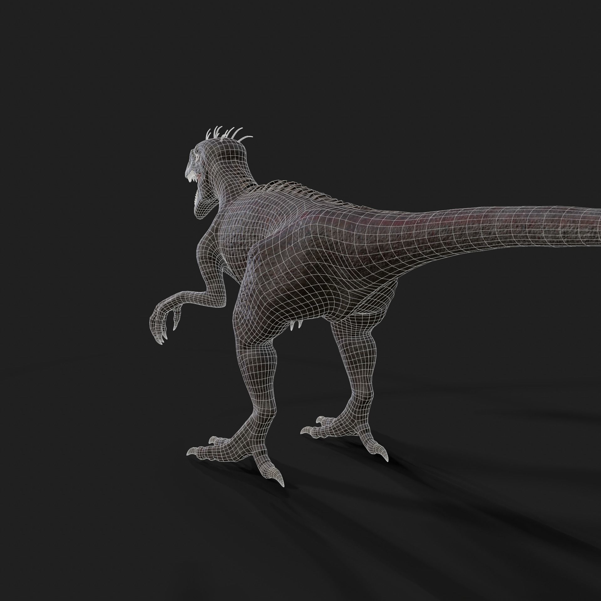 Dinosaurs Velociraptor Hybrid 3D model 3D model_15
