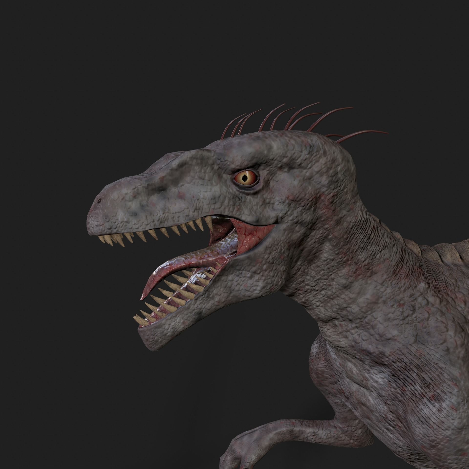 Dinosaurs Velociraptor Hybrid 3D model 3D model_9