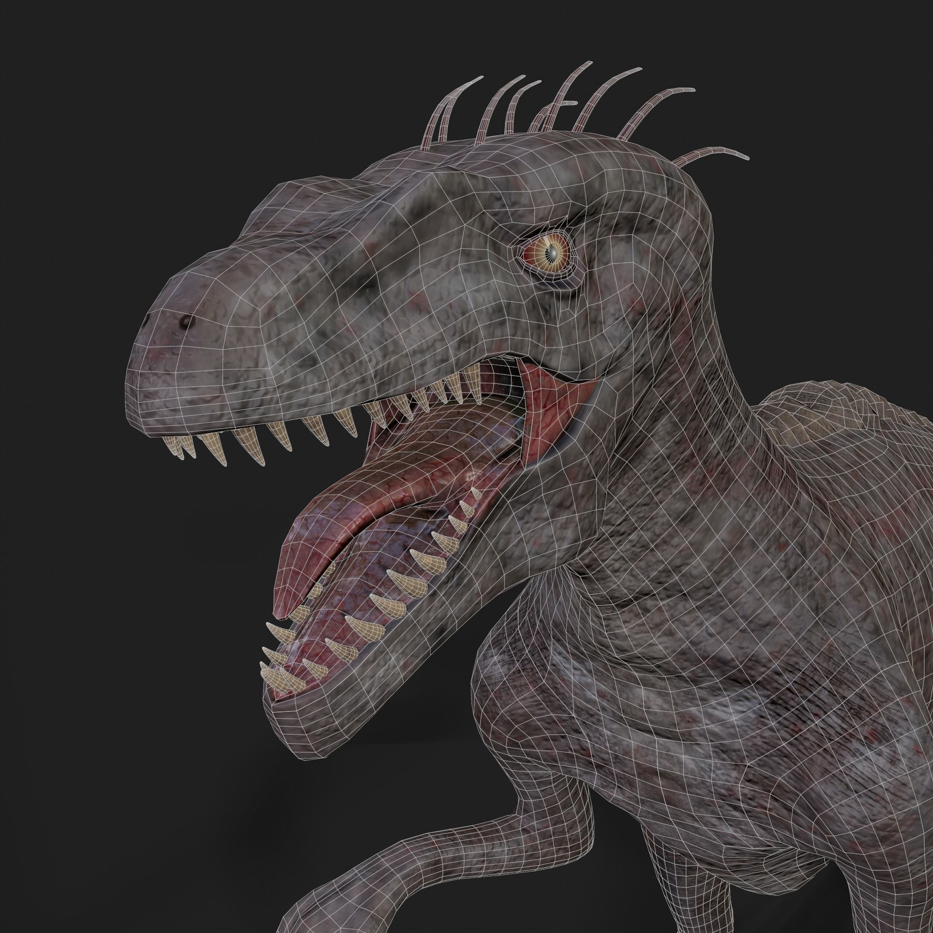 Dinosaurs Velociraptor Hybrid 3D model 3D model_8