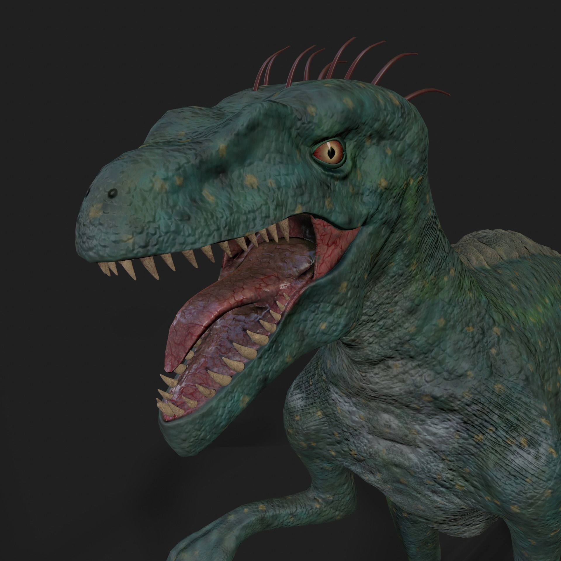 Dinosaurs Velociraptor Hybrid 3D model 3D model_8