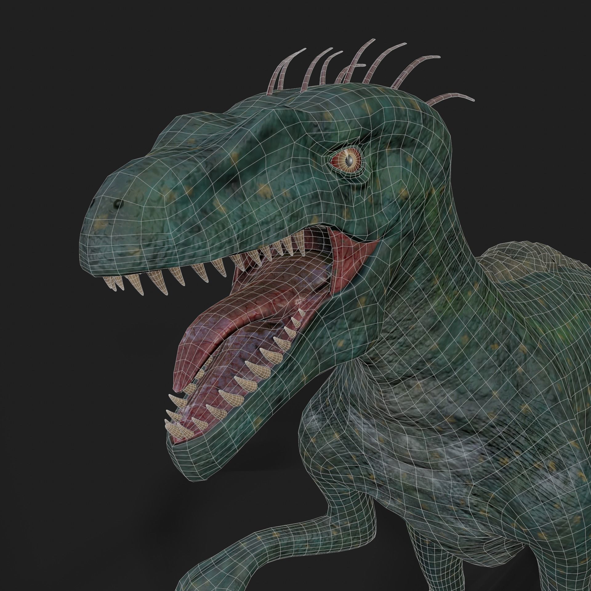 Dinosaurs Velociraptor Hybrid 3D model 3D model_15