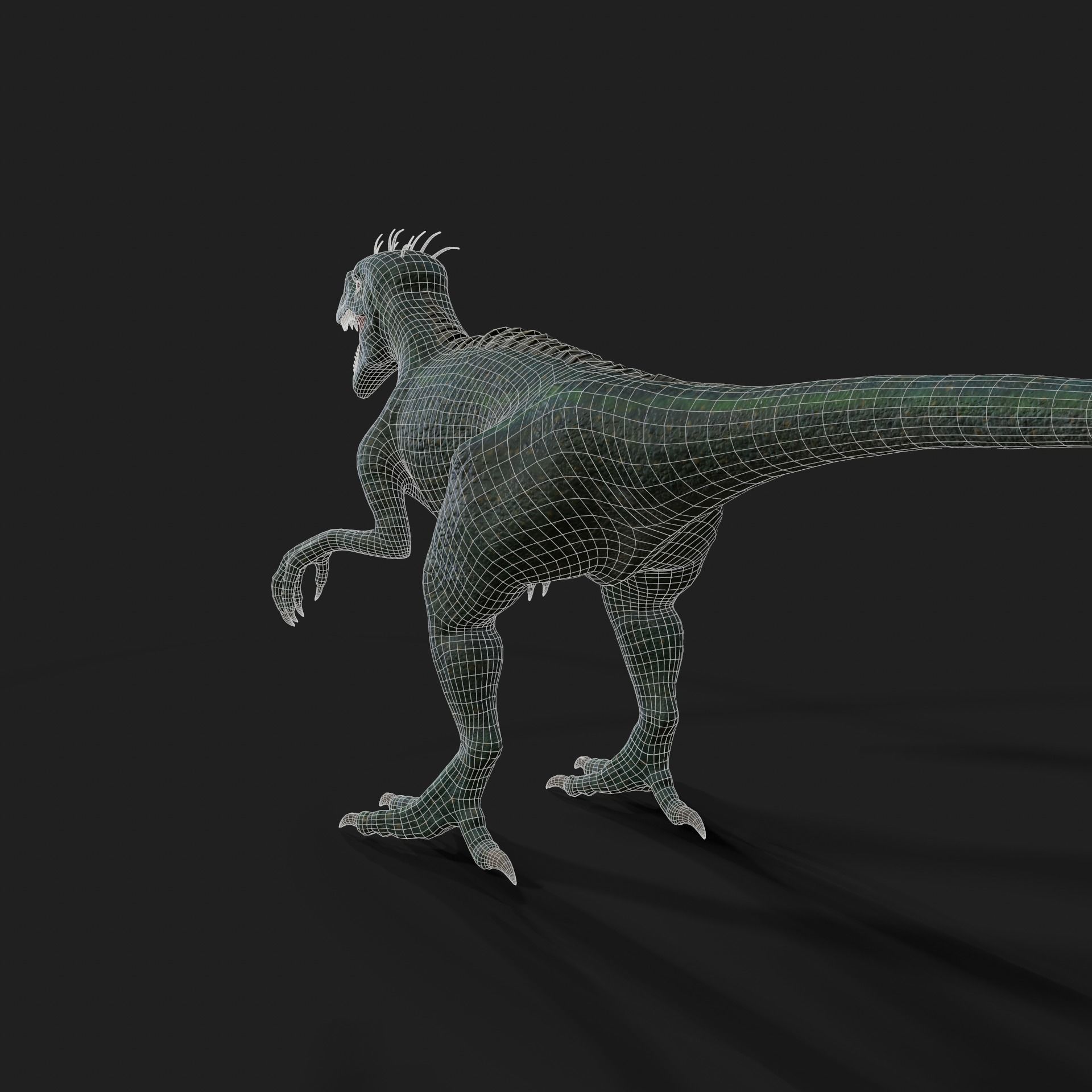 Dinosaurs Velociraptor Hybrid 3D model 3D model_13