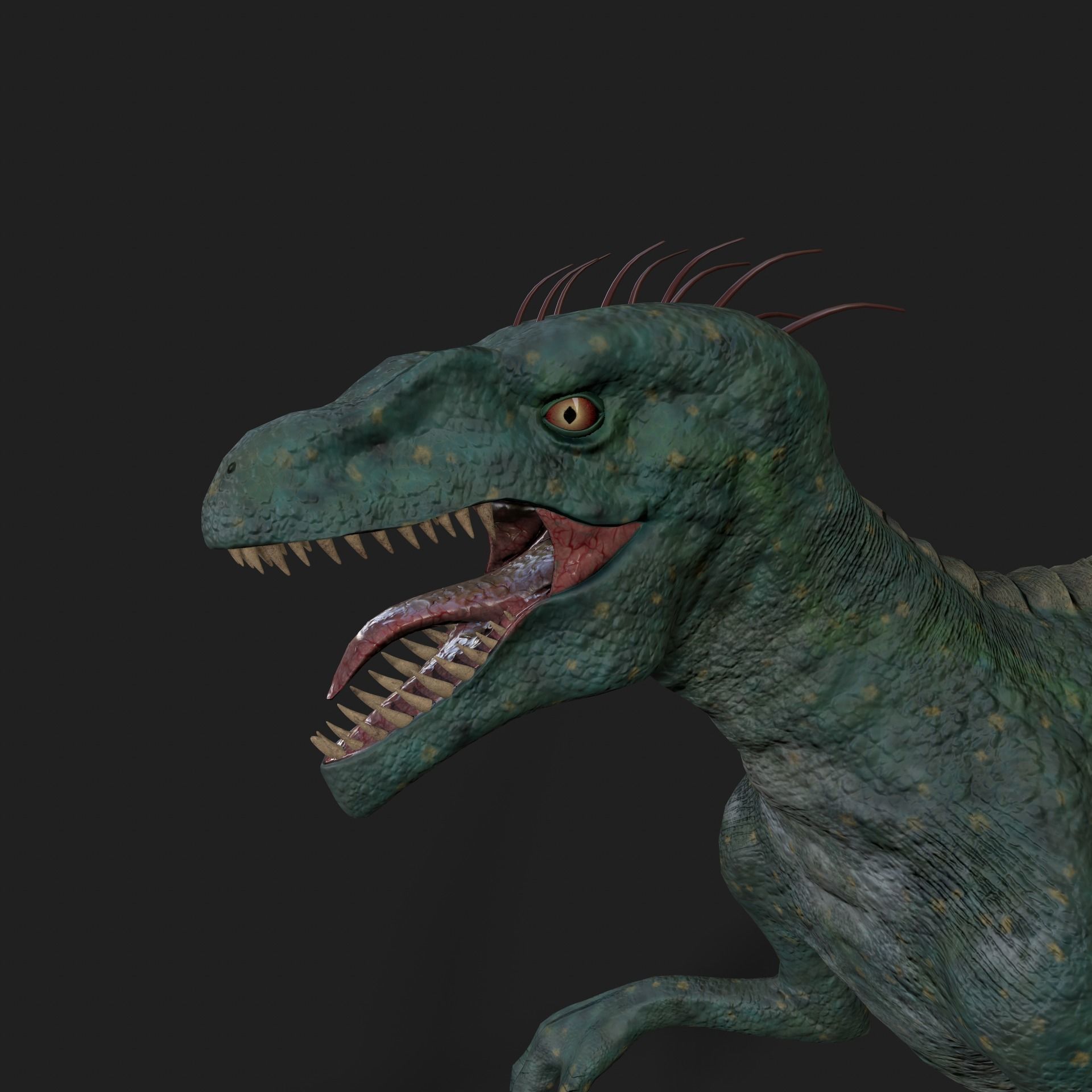 Dinosaurs Velociraptor Hybrid 3D model 3D model_6