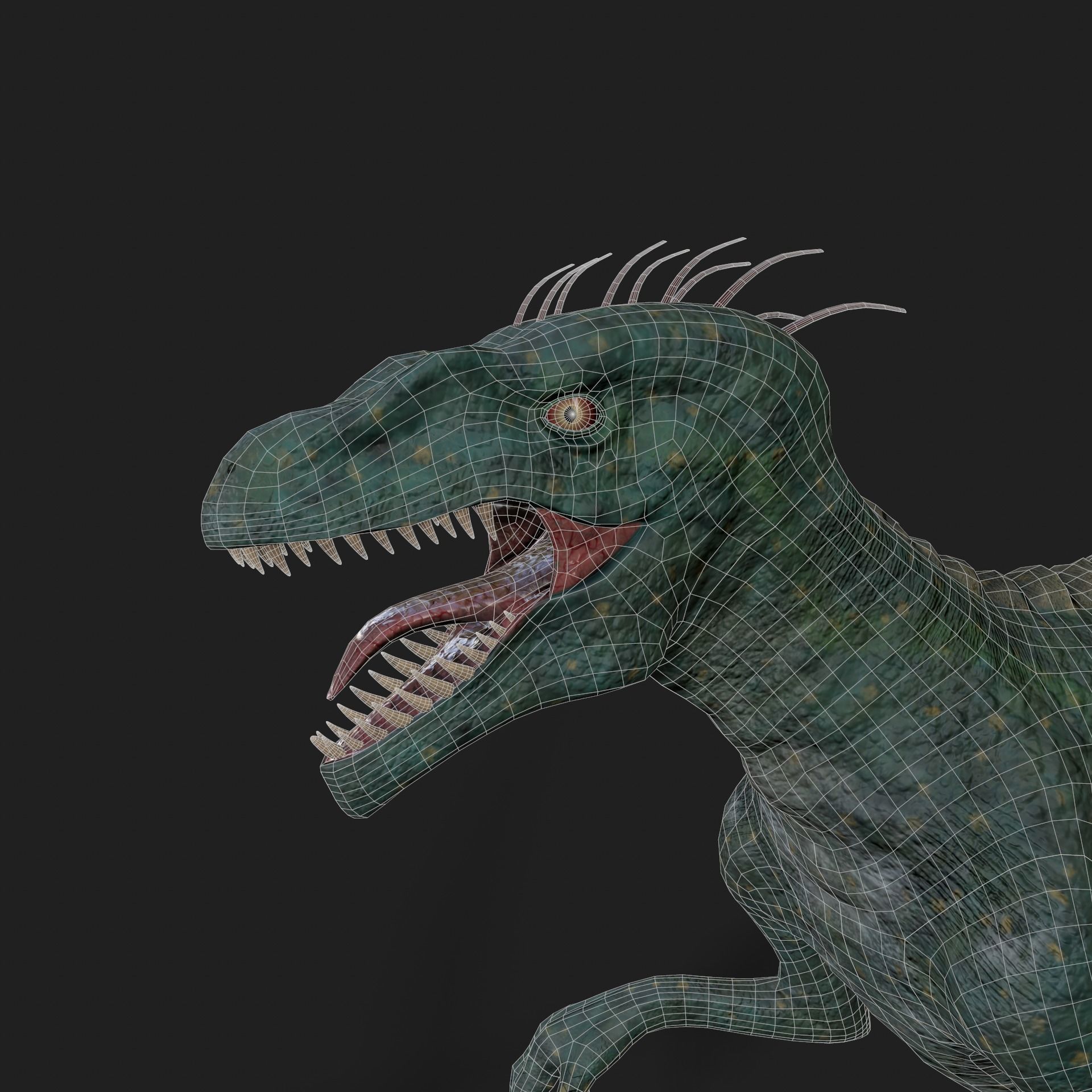 Dinosaurs Velociraptor Hybrid 3D model 3D model_12