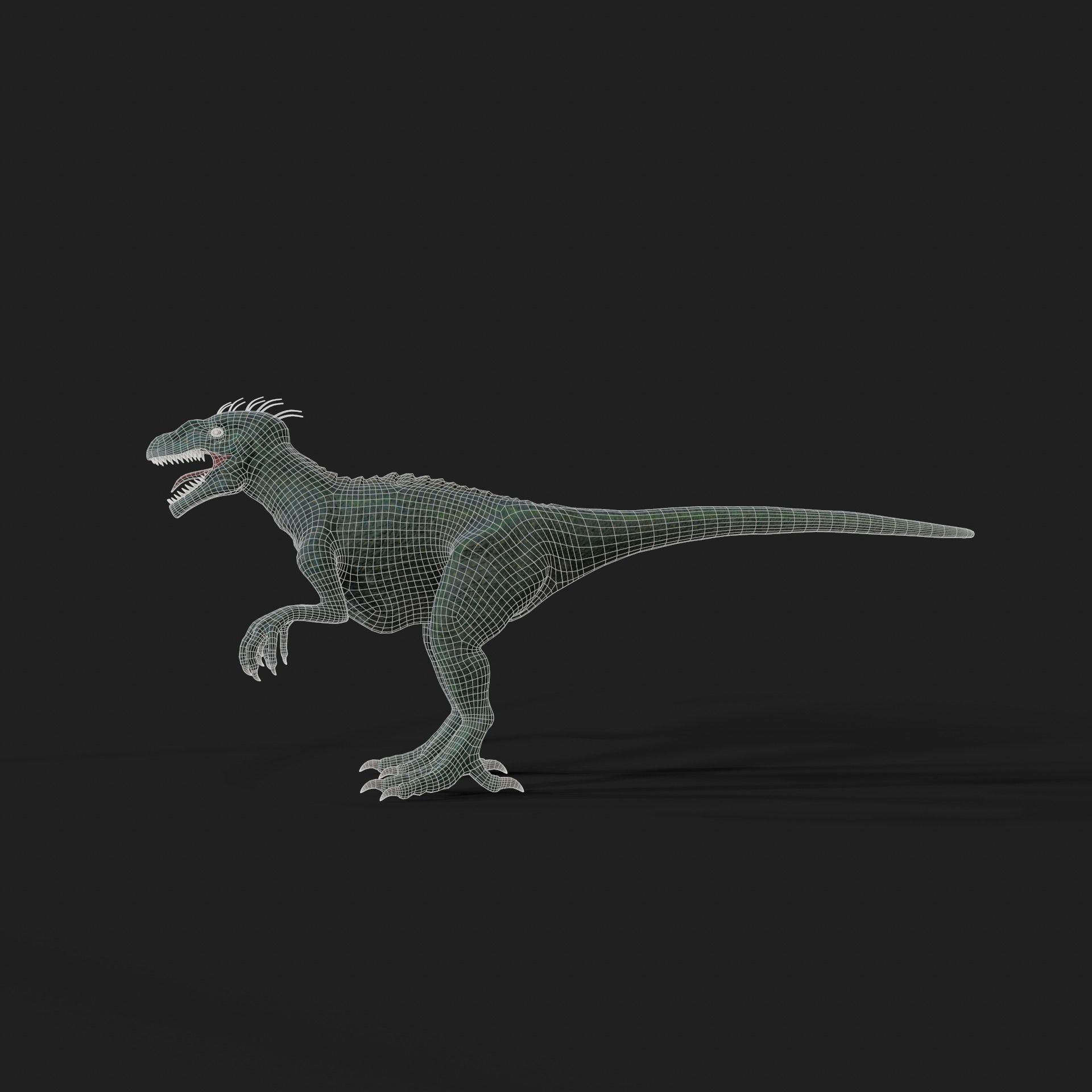 Dinosaurs Velociraptor Hybrid 3D model 3D model_11