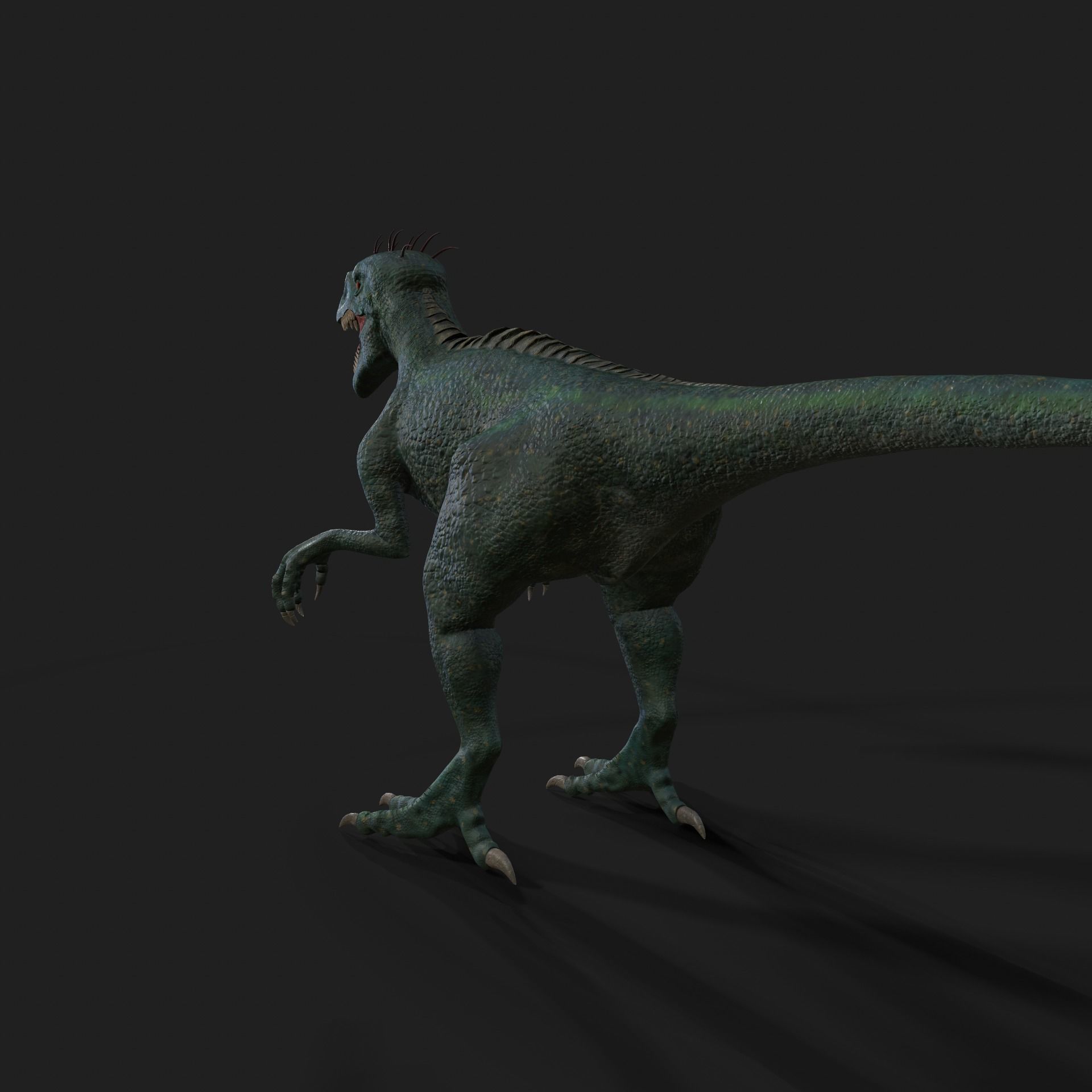 Dinosaurs Velociraptor Hybrid 3D model 3D model_4
