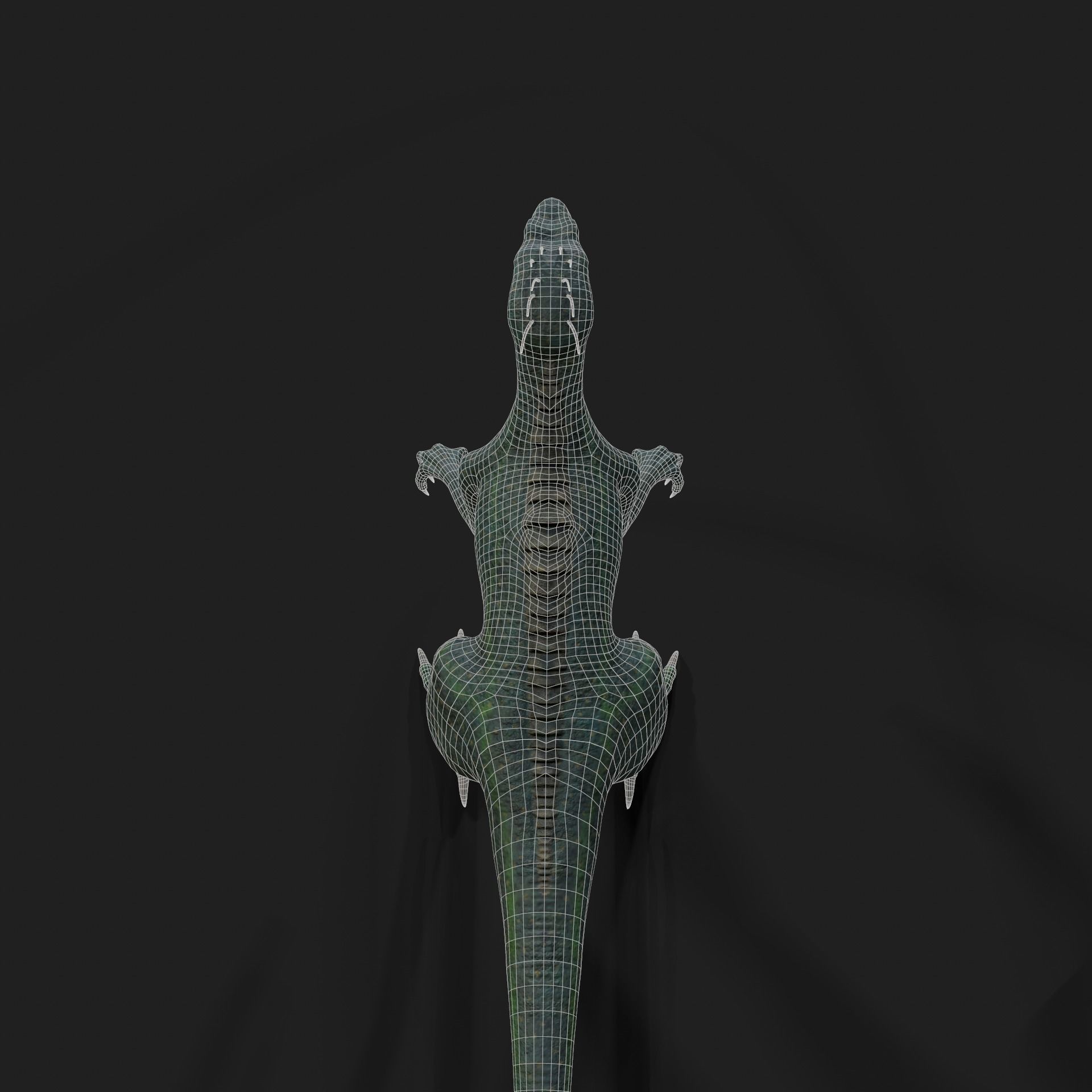 Dinosaurs Velociraptor Hybrid 3D model 3D model_16