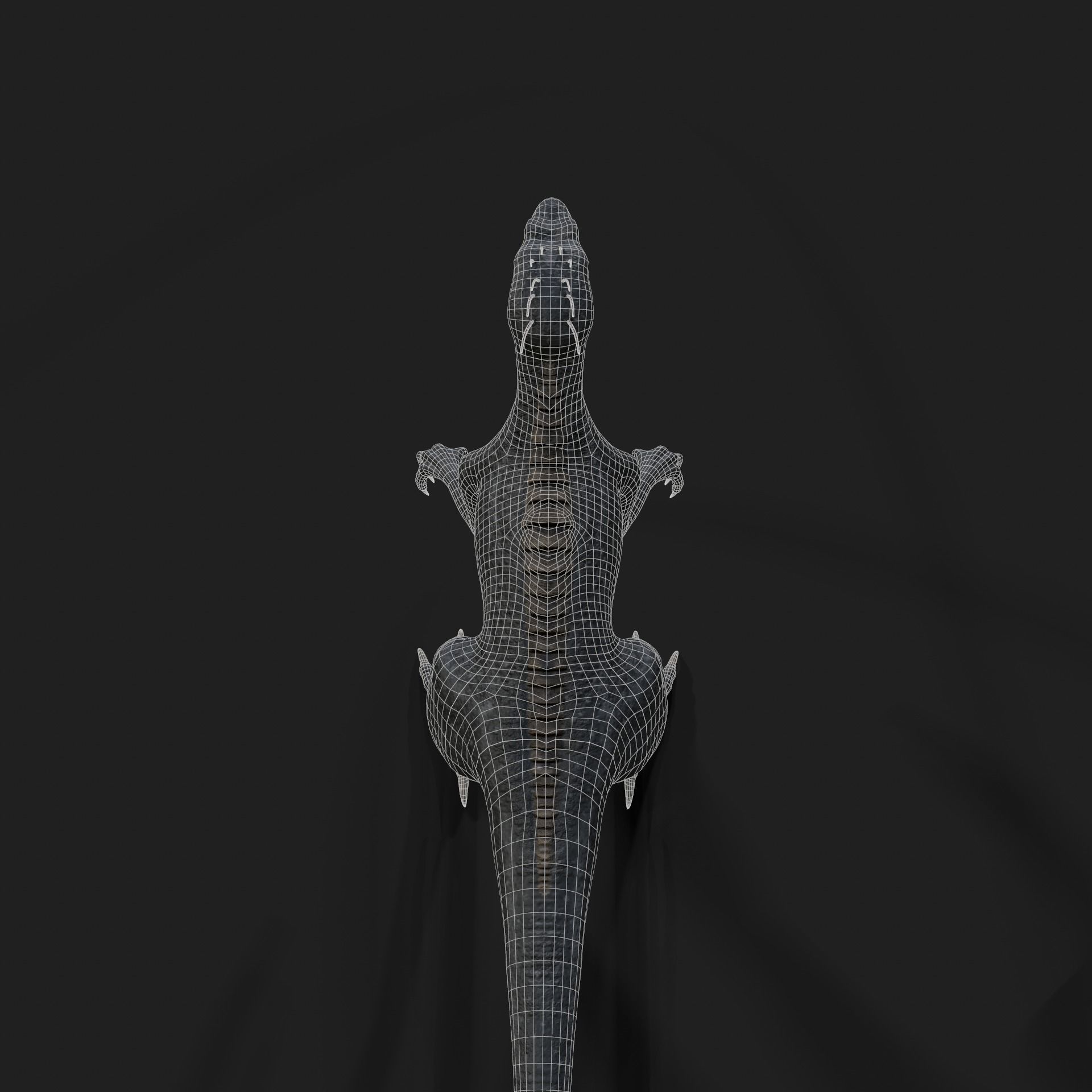 Dinosaurs Velociraptor Hybrid 3D model 3D model_13