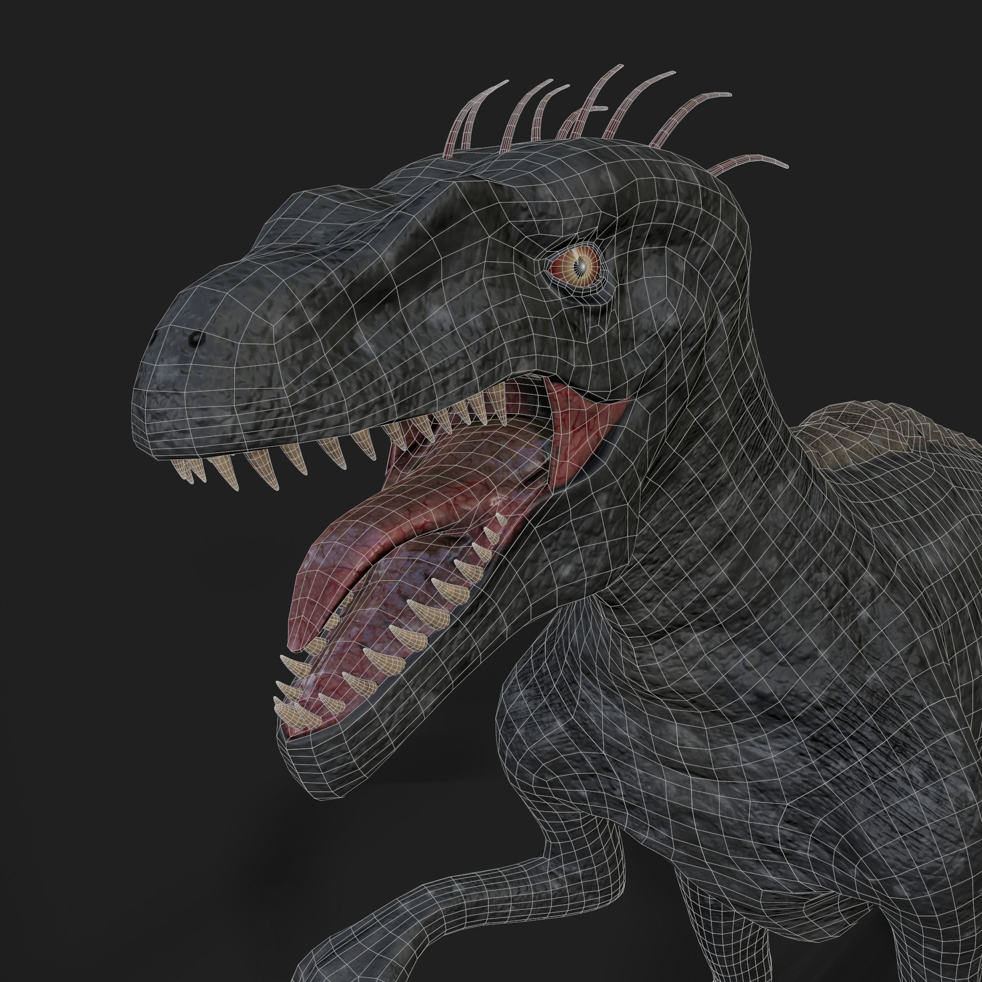 Dinosaurs Velociraptor Hybrid 3D model 3D model_16