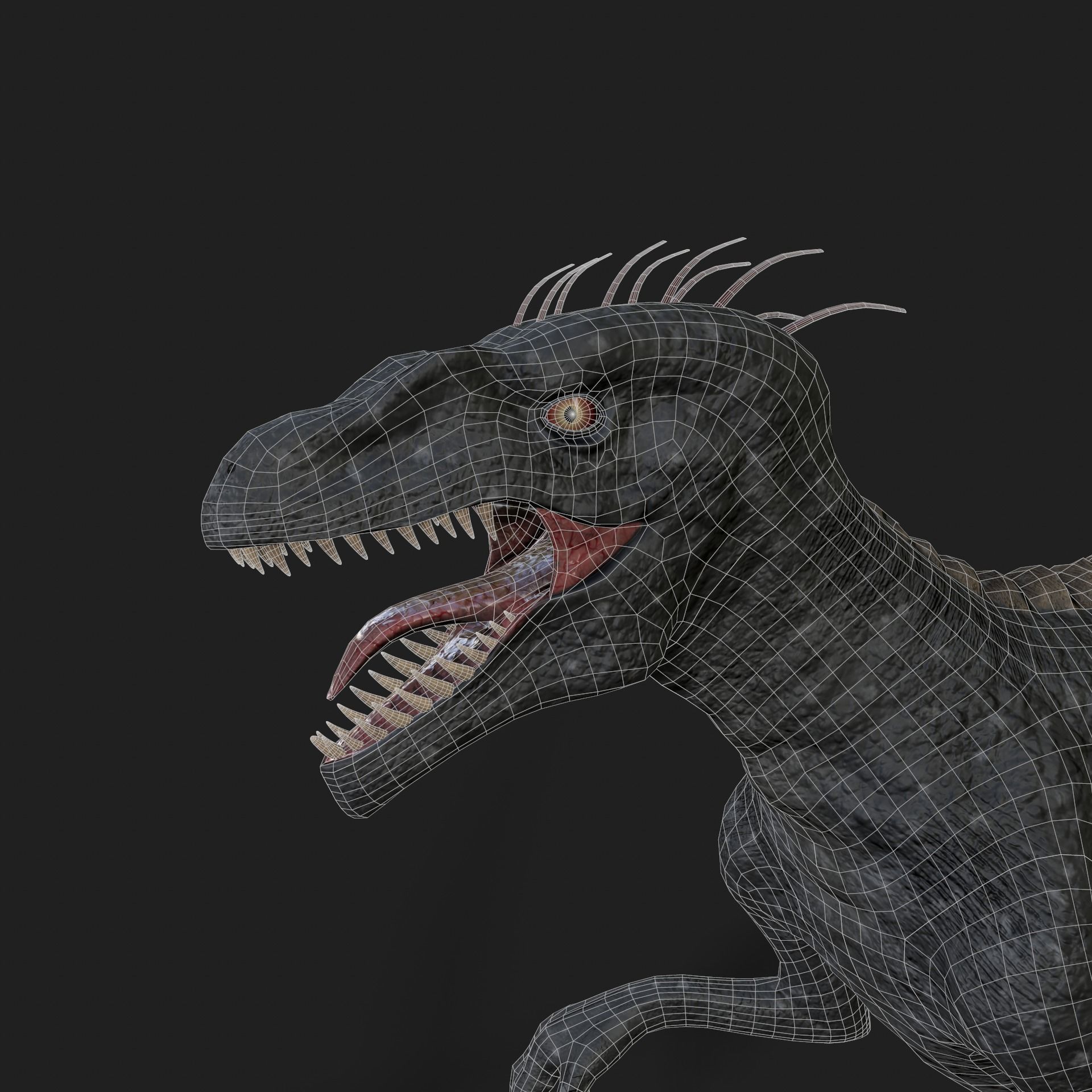 Dinosaurs Velociraptor Hybrid 3D model 3D model_14