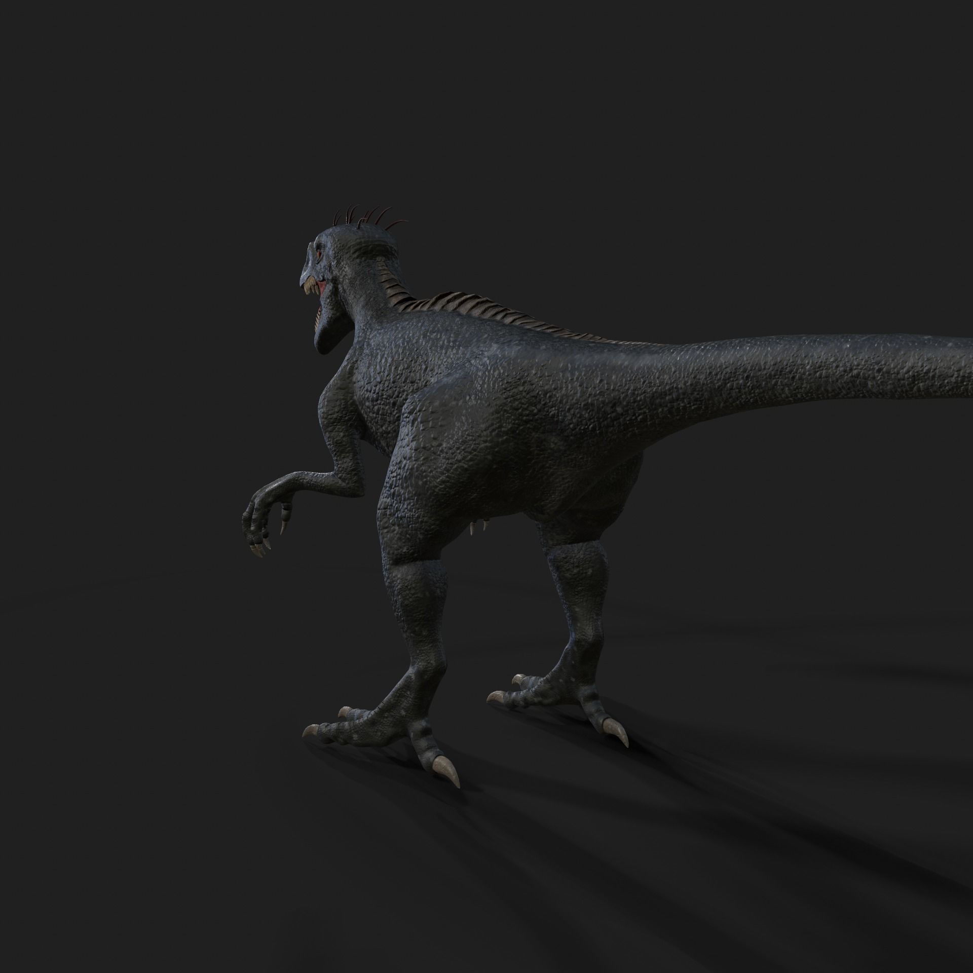 Dinosaurs Velociraptor Hybrid 3D model 3D model_4