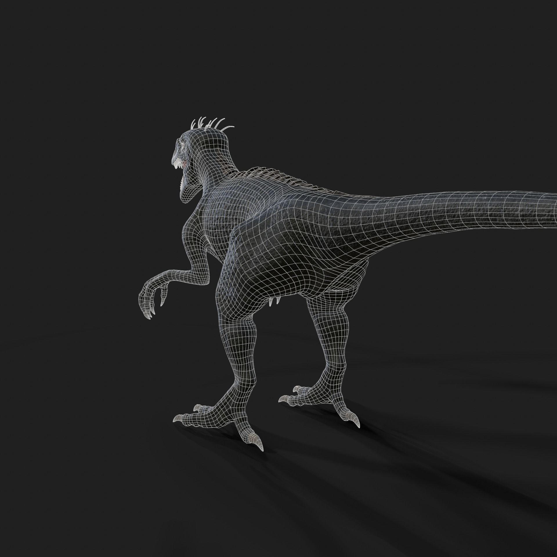 Dinosaurs Velociraptor Hybrid 3D model 3D model_12