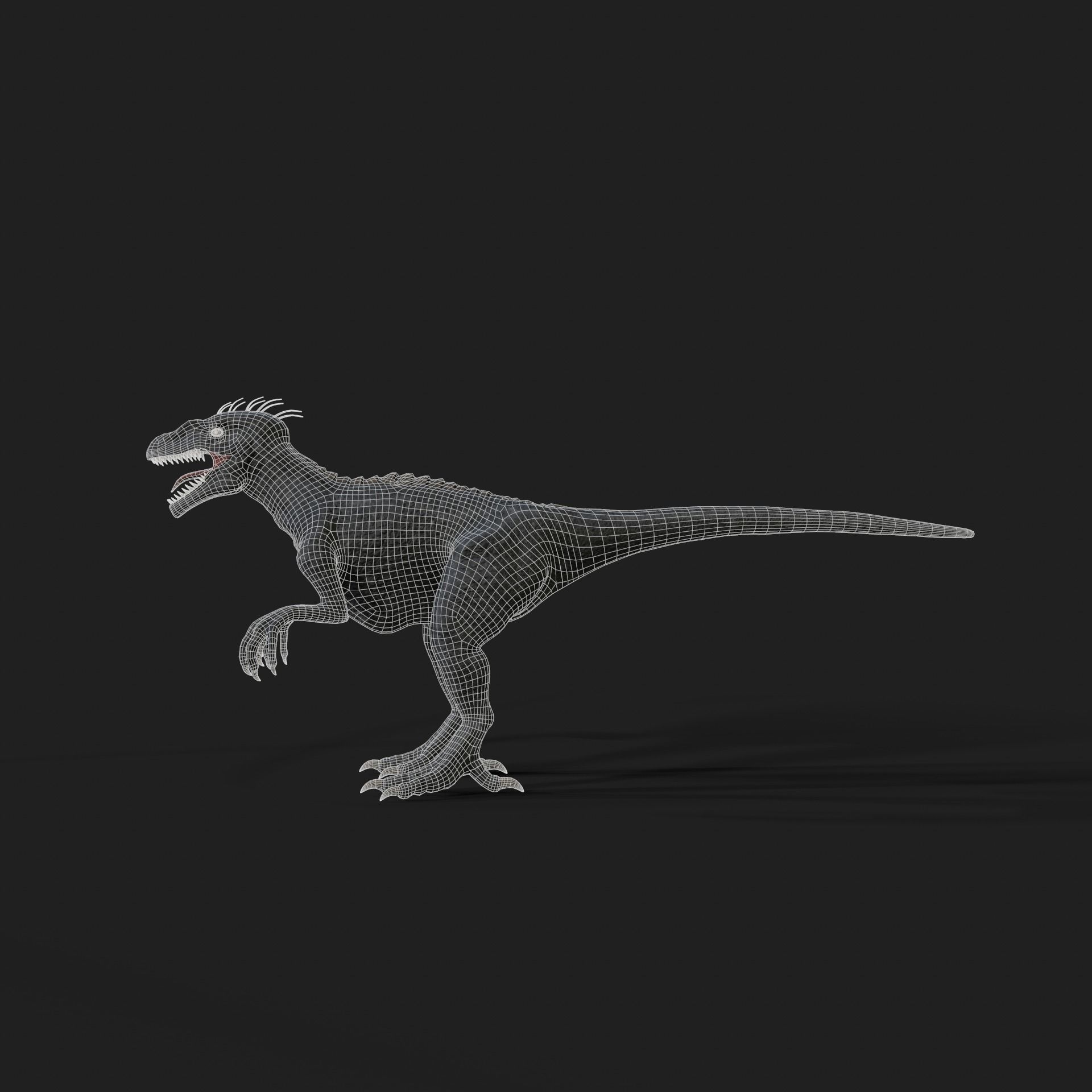 Dinosaurs Velociraptor Hybrid 3D model 3D model_11