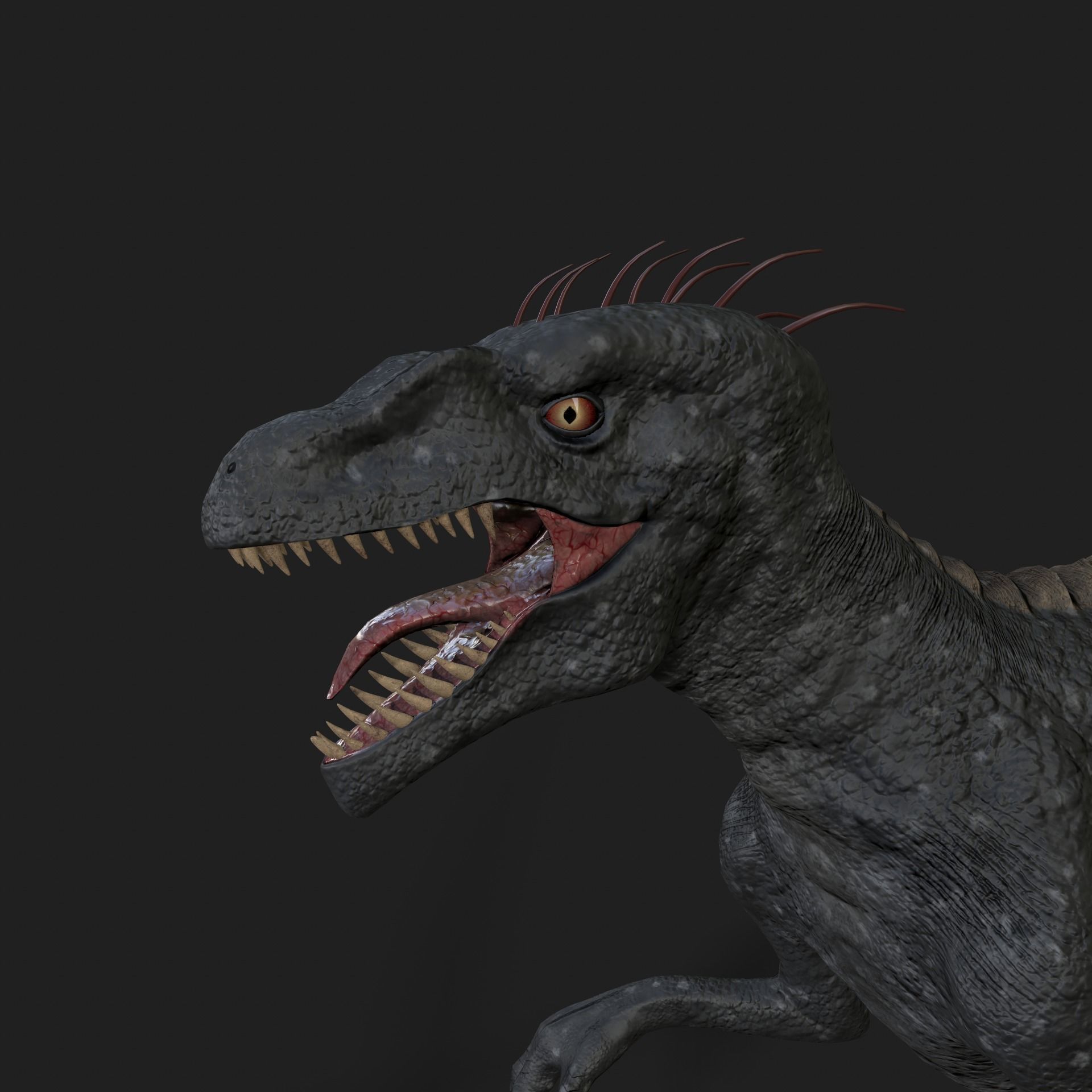Dinosaurs Velociraptor Hybrid 3D model 3D model_6