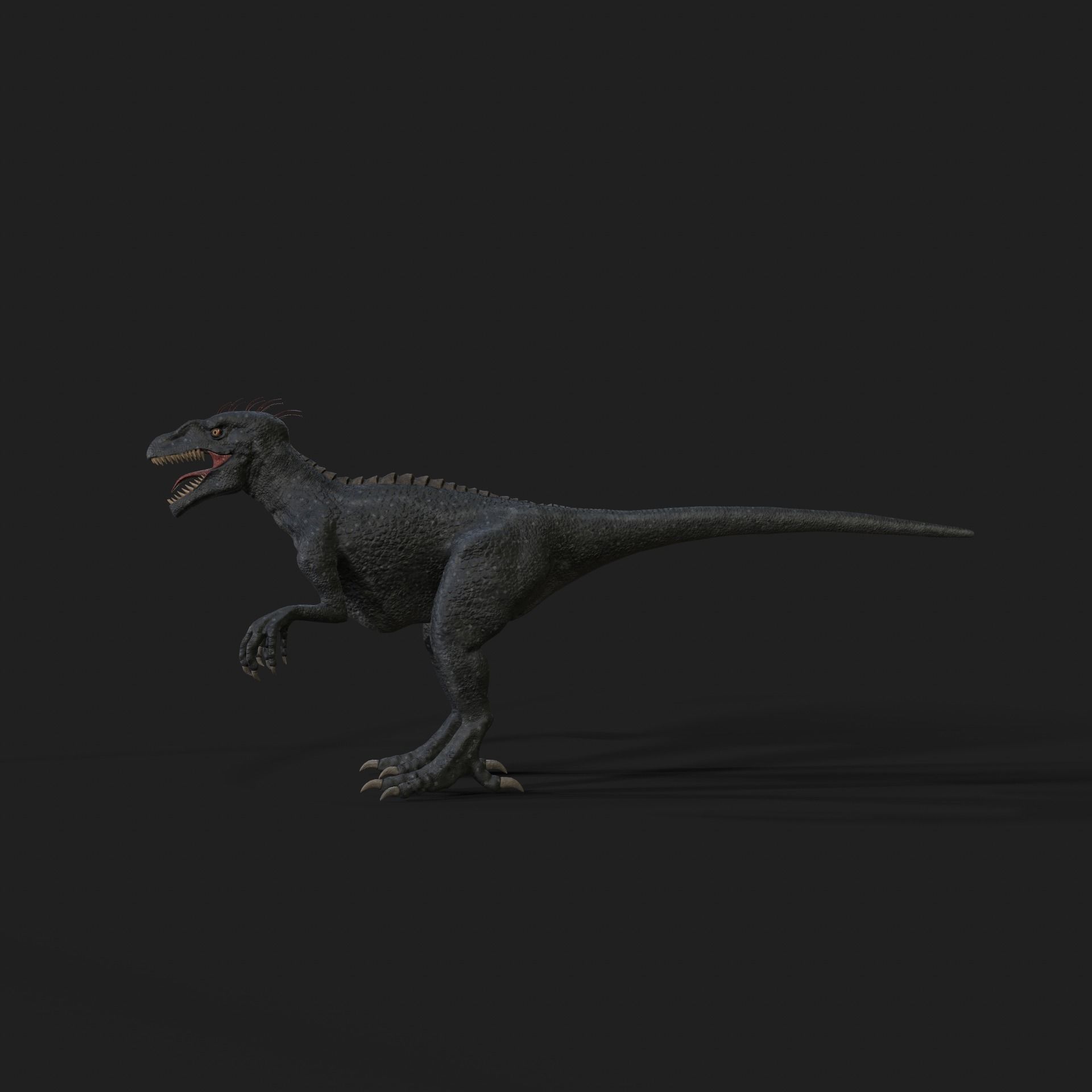 Dinosaurs Velociraptor Hybrid 3D model 3D model_3