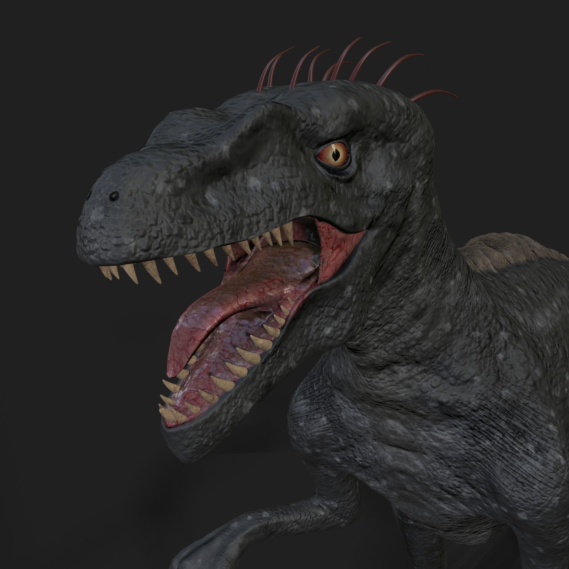 Dinosaurs Velociraptor Hybrid 3D model 3D model_8