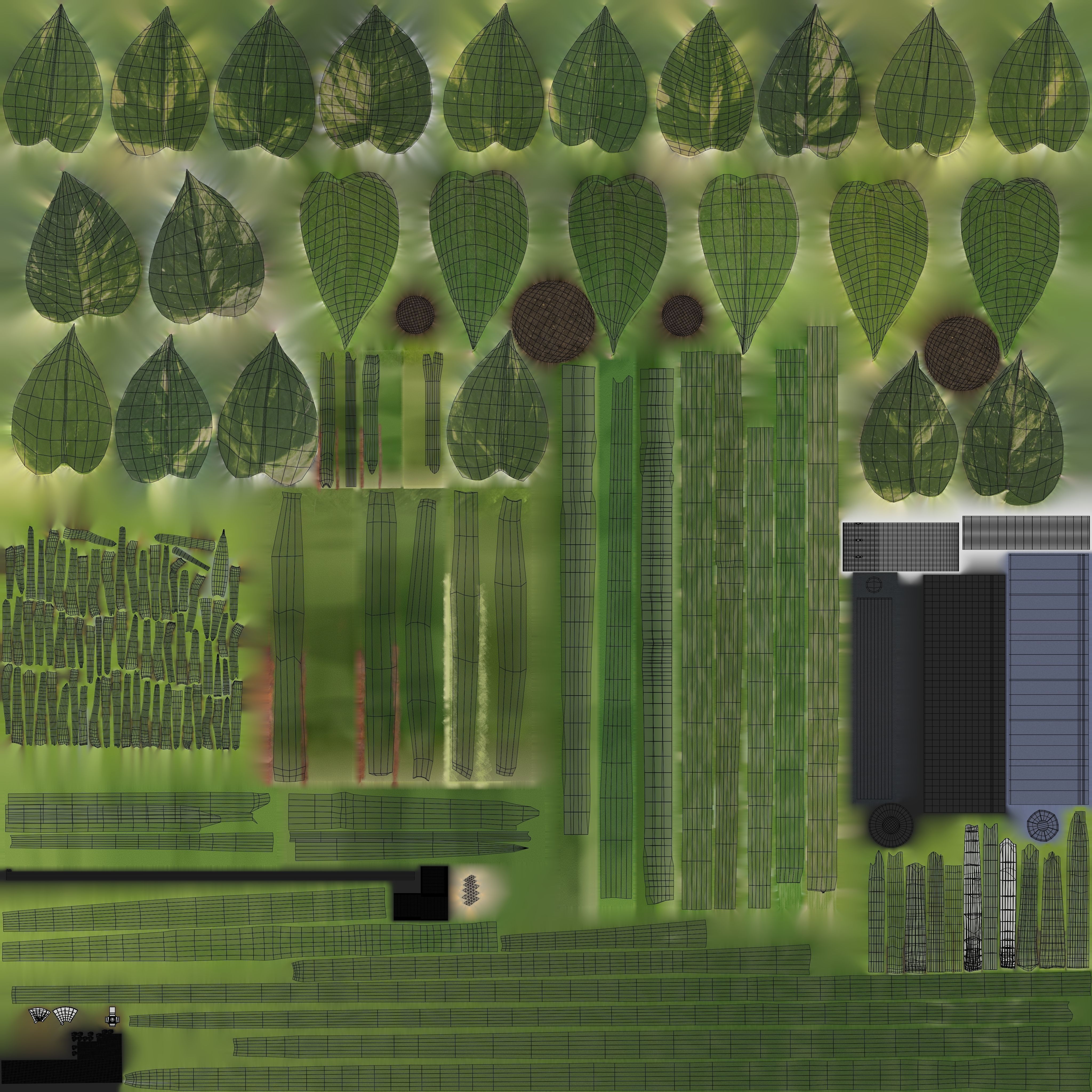 Scindapsus Pictus  VFX Grace 3D model_8