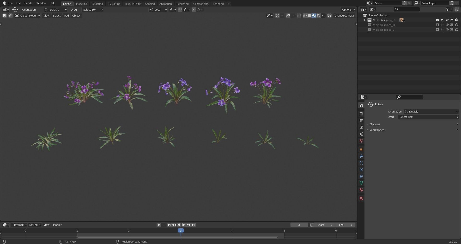 Viola Philippica  VFX Grace 3D model_6